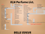 Ladies 20x 30ml KLN Oil Based Perfumes